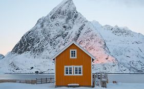 The Famous Yellow House